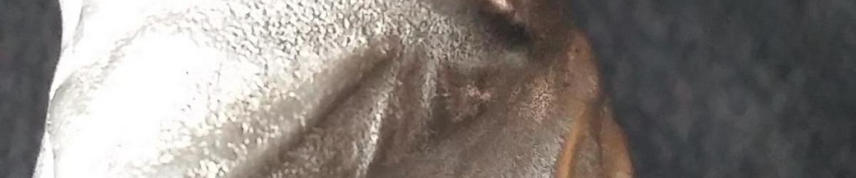 Venus de Milo : Hight 8 cm